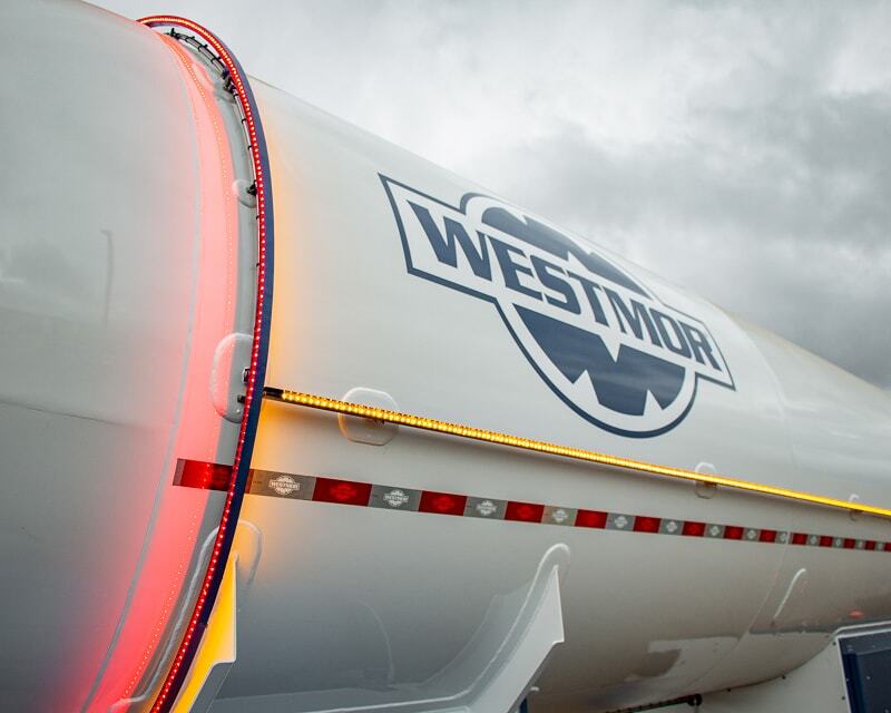 proline-transport-npga-2021-19-1
